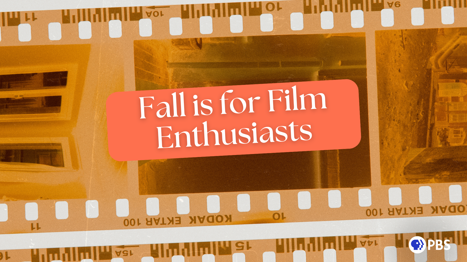 Fall is for Film Enthusiasts