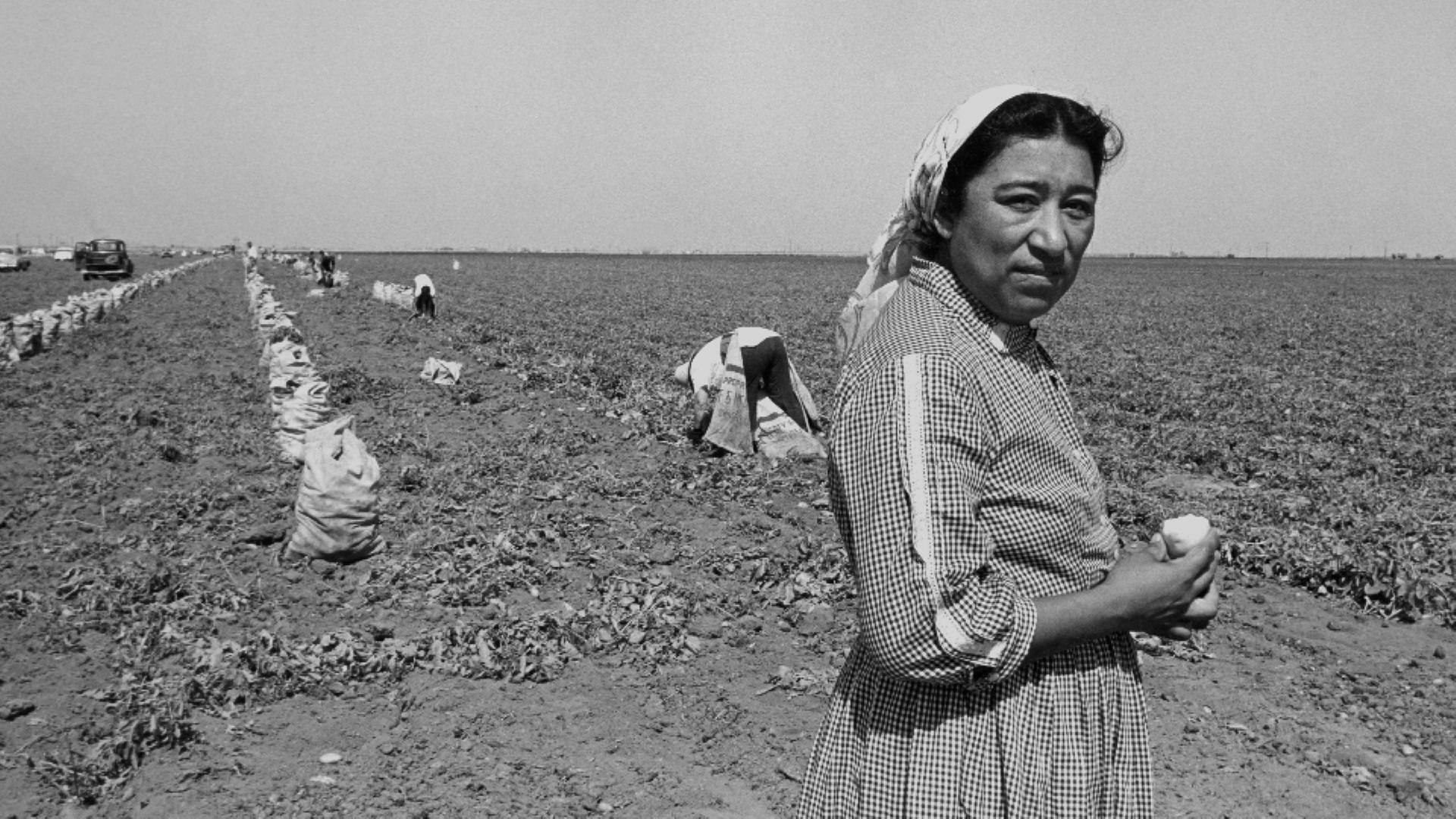 Women of the Farmworkers' Movement
