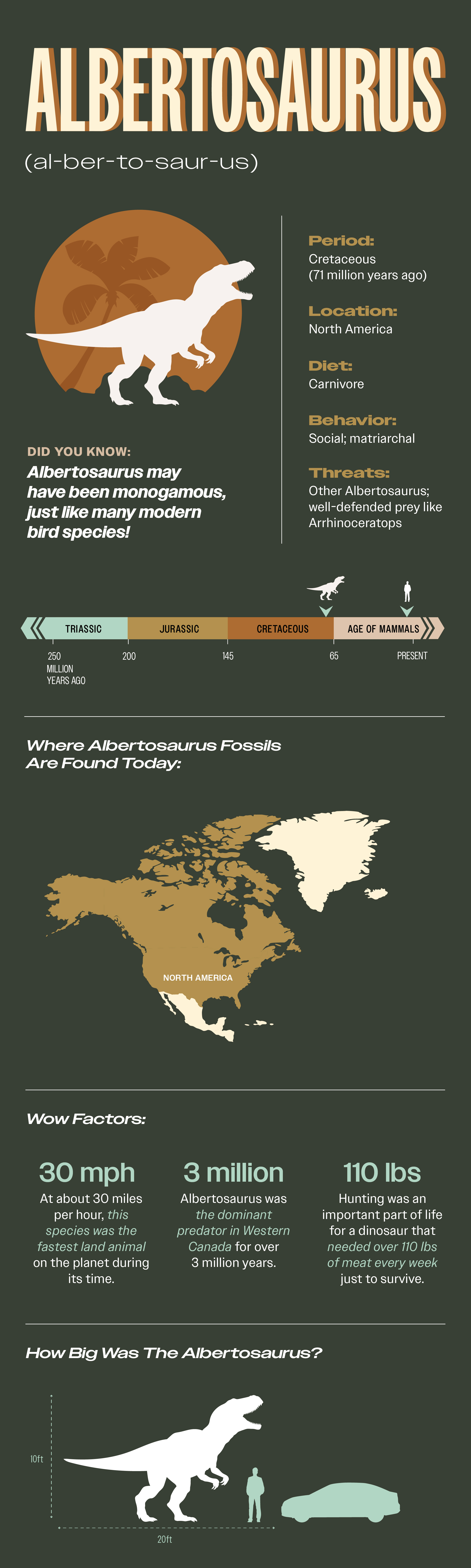 Albertosaurus Fact Sheet