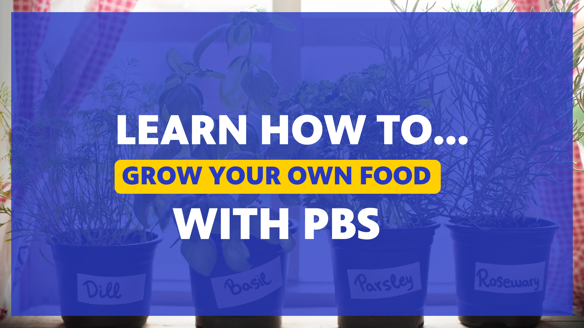 Learn How Grow Your Own Food with PBS