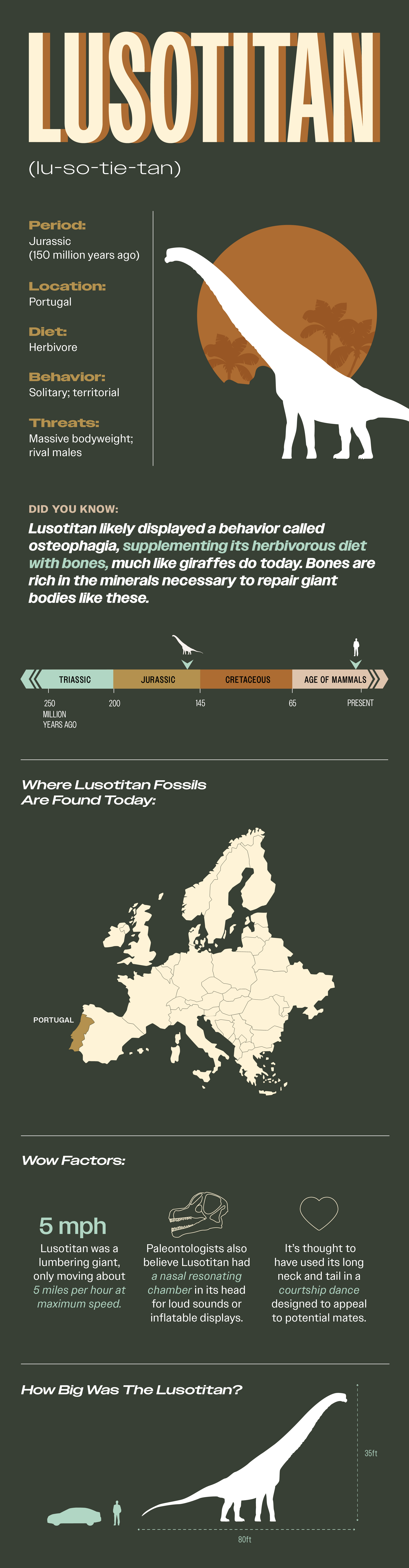 Lusotitan Fact Sheet