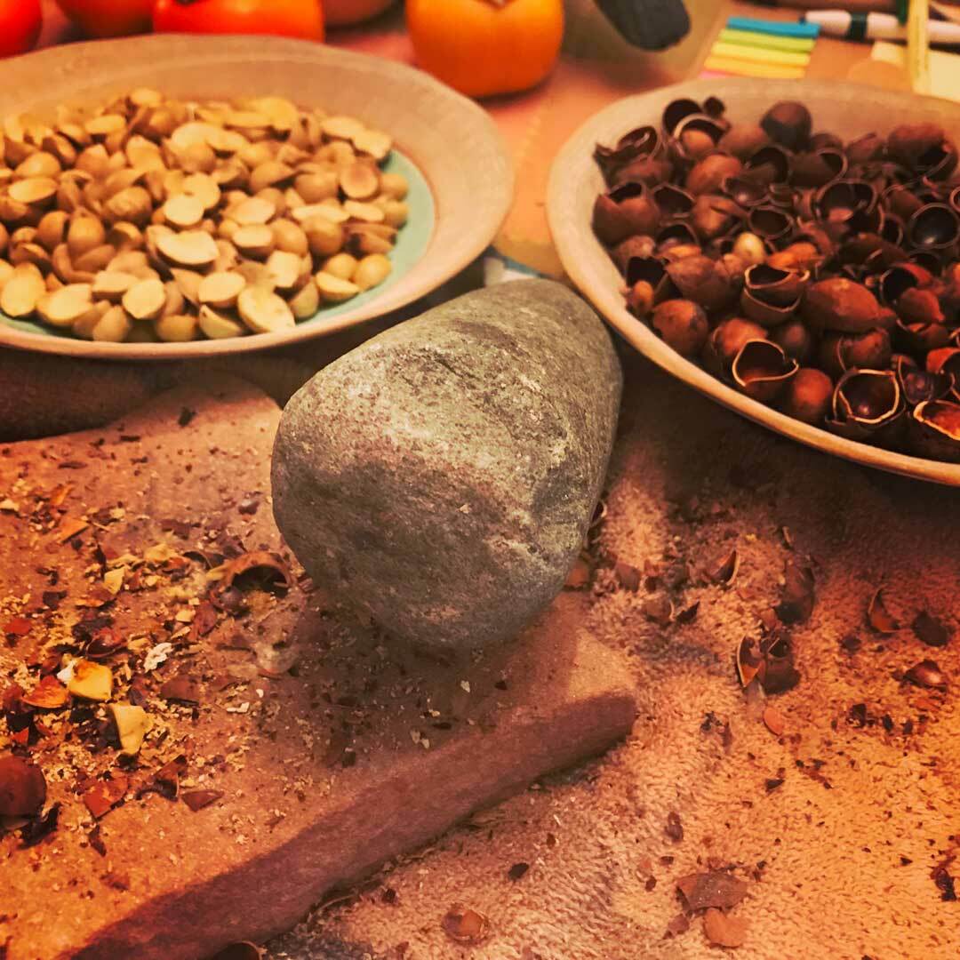 Cracking and preparing bay nuts to roast. After roasting, these powerful nuts have the flavor elements of dark chocolate and coffee beans. The energy buzz follows.