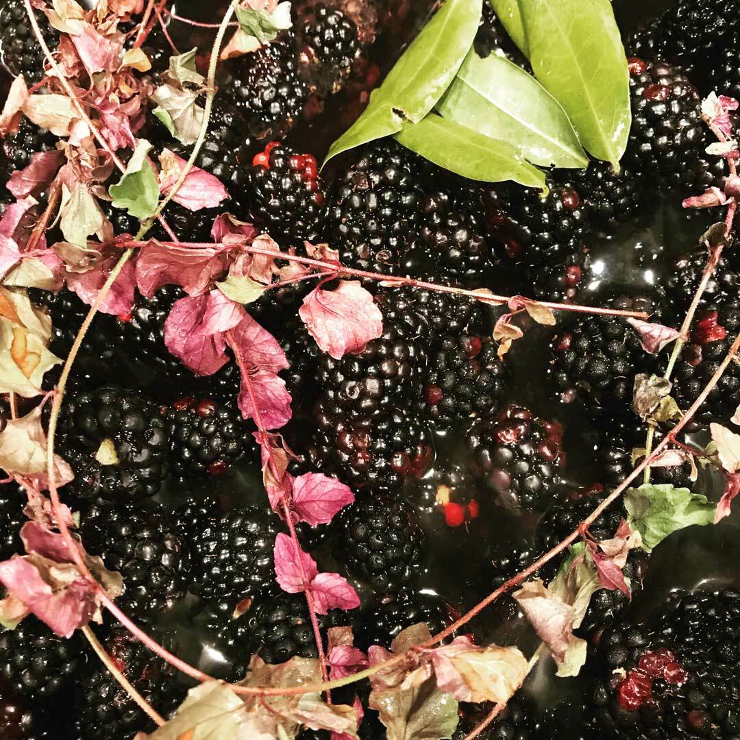 Blackberries slowly cooked down with bay laurel + yerba buena melds flavors of our homeland together in a fragrant sauce that pairs well with duck + venison.