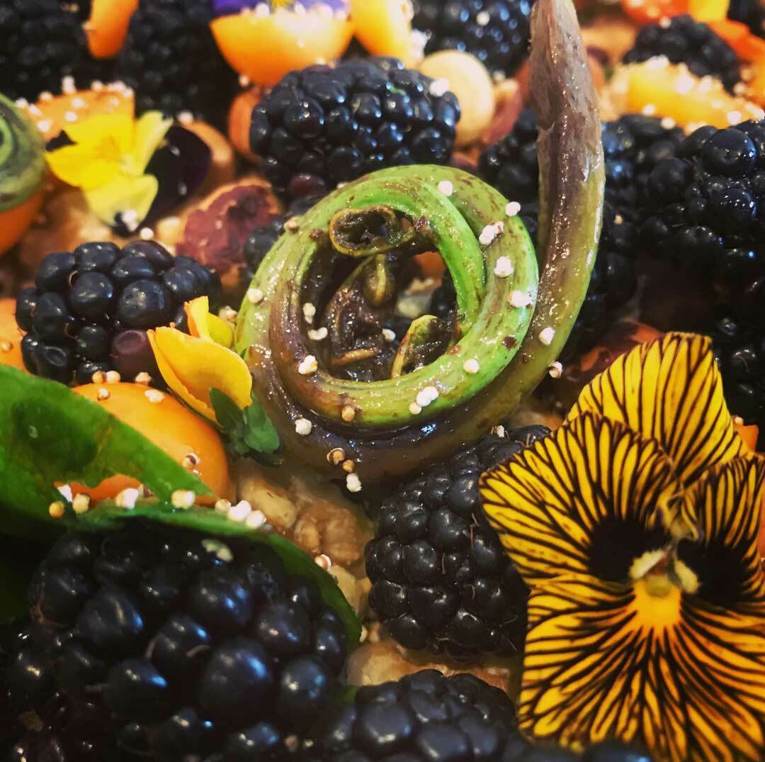 A salad of all Native greens from the oak woodlands of our homeland — spicy watercress and sweet sorrel with juicy blackberries and gooseberries. We add fiddleheads sautéed in walnut oil with SF Bay salt, hazelnuts, walnuts, popped amaranth + dress our greens in walnut oil and elderberry juice.
