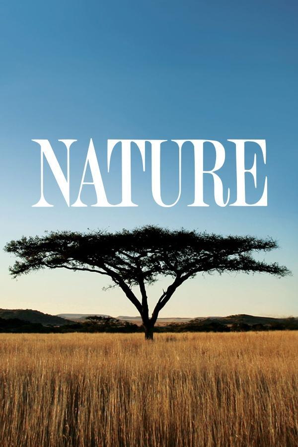 Nature show poster