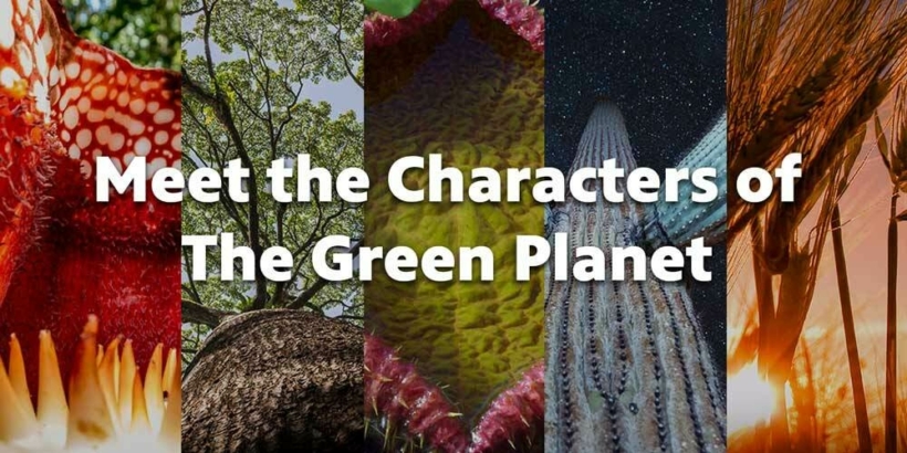Meet The Characters of The Green Planet
