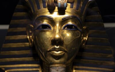 King Tutankhamun: Life, Death, & Family