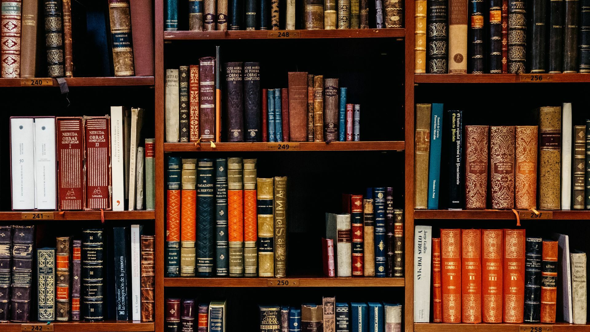 Merchandising  The King's English Bookshop