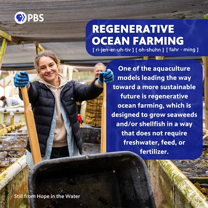 Earth Month HITW Regenerative Ocean Farming sized