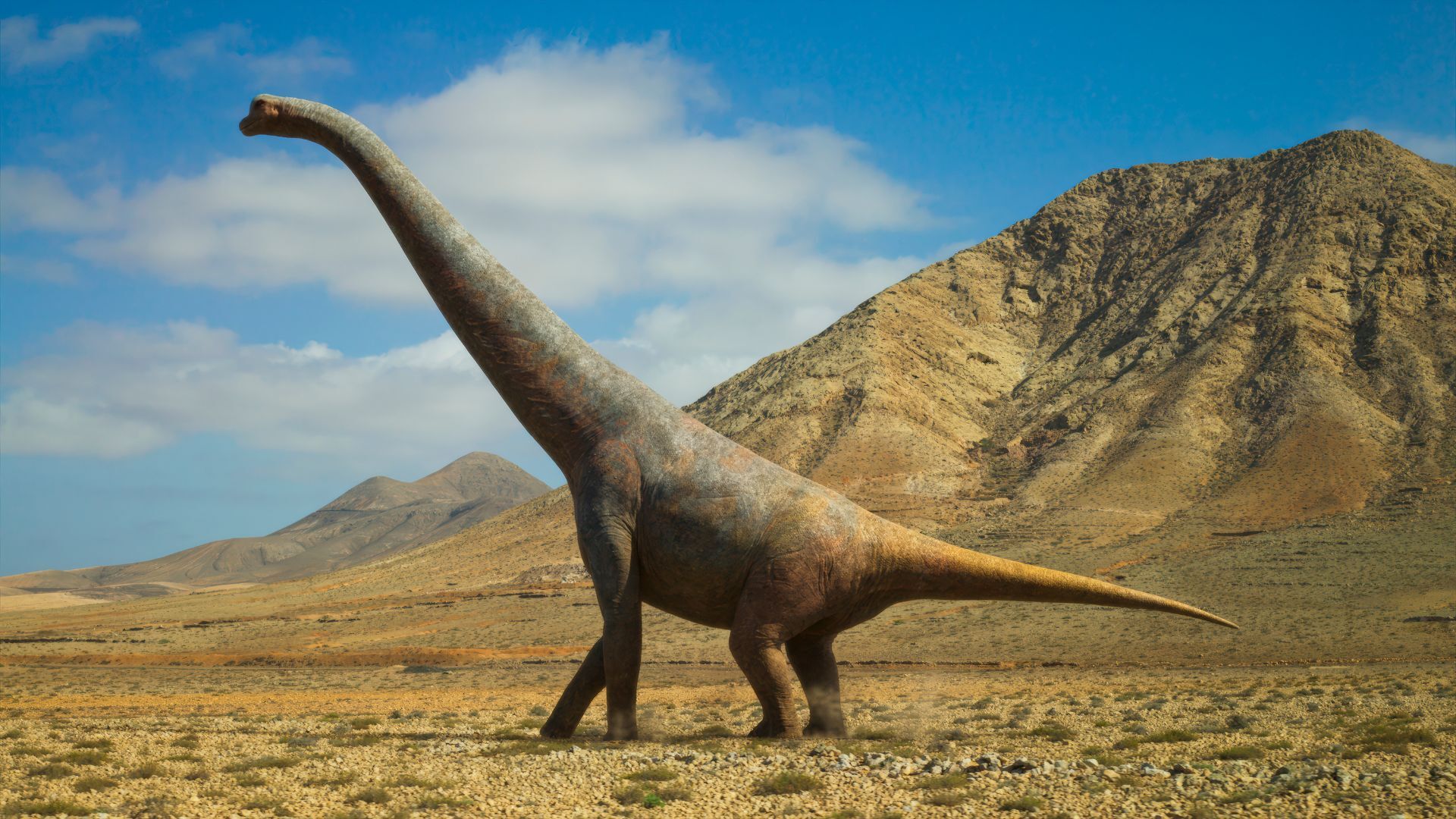 Dinosaur Size Comparison: From Smallest to Tallest
