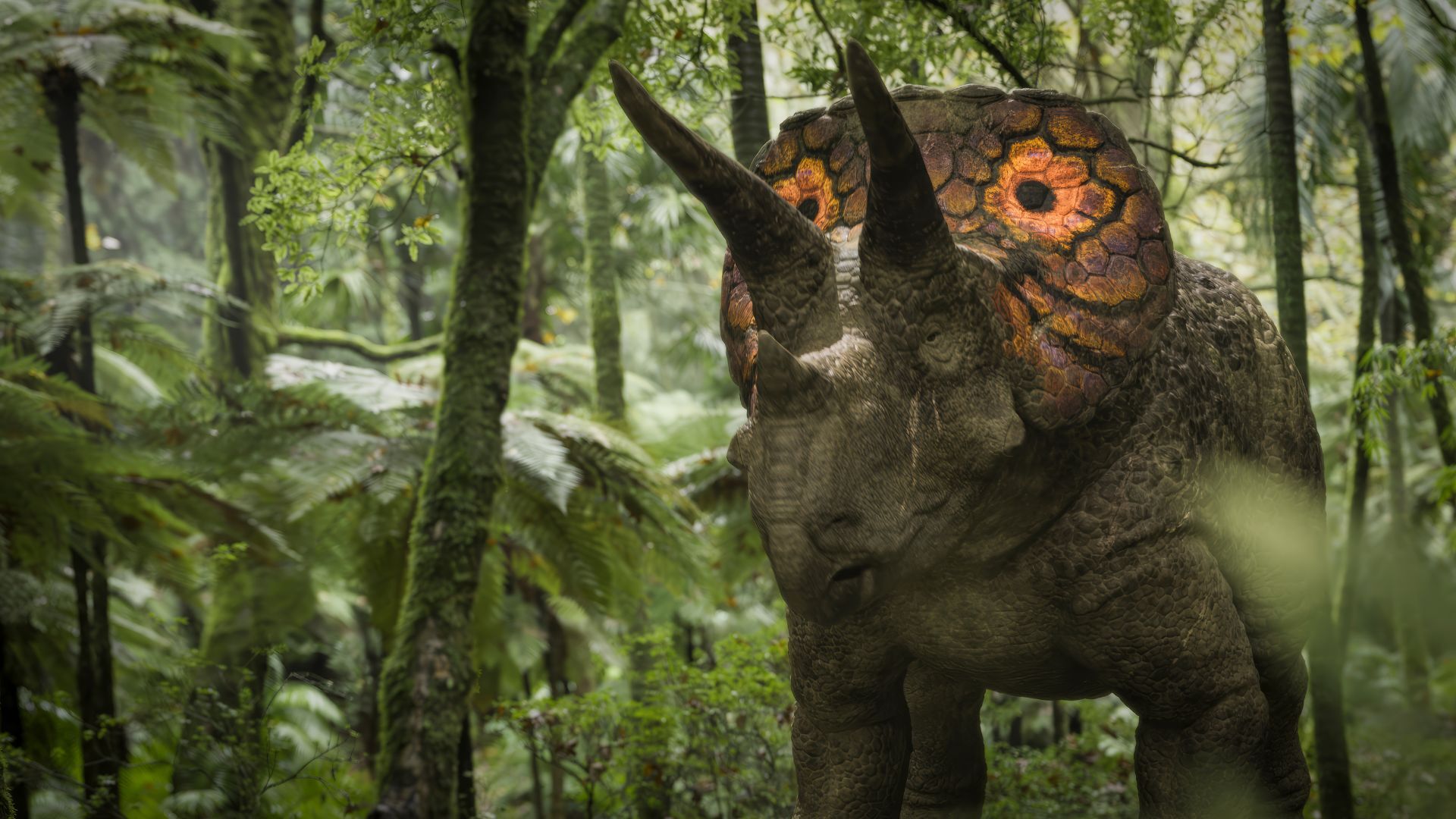 Meet Triceratops: Walking with Dinosaurs
