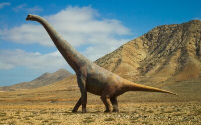 Dinosaur Size Comparison: From Smallest to Tallest