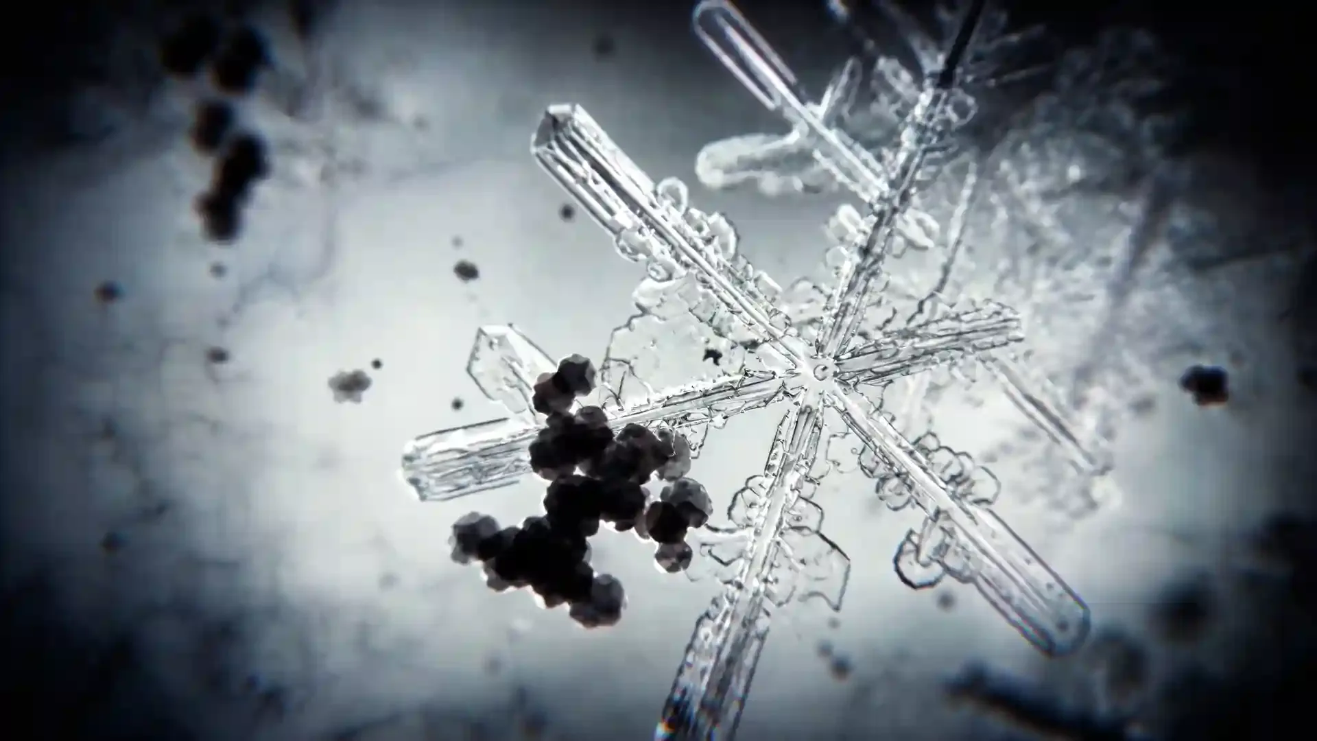 Ages Of Ice Ep01 PBS Texted Master UHD 25p Pro Res422 HQ 51 20 20260728 HQ mp4 00 39 36 06 Still015snowflake3