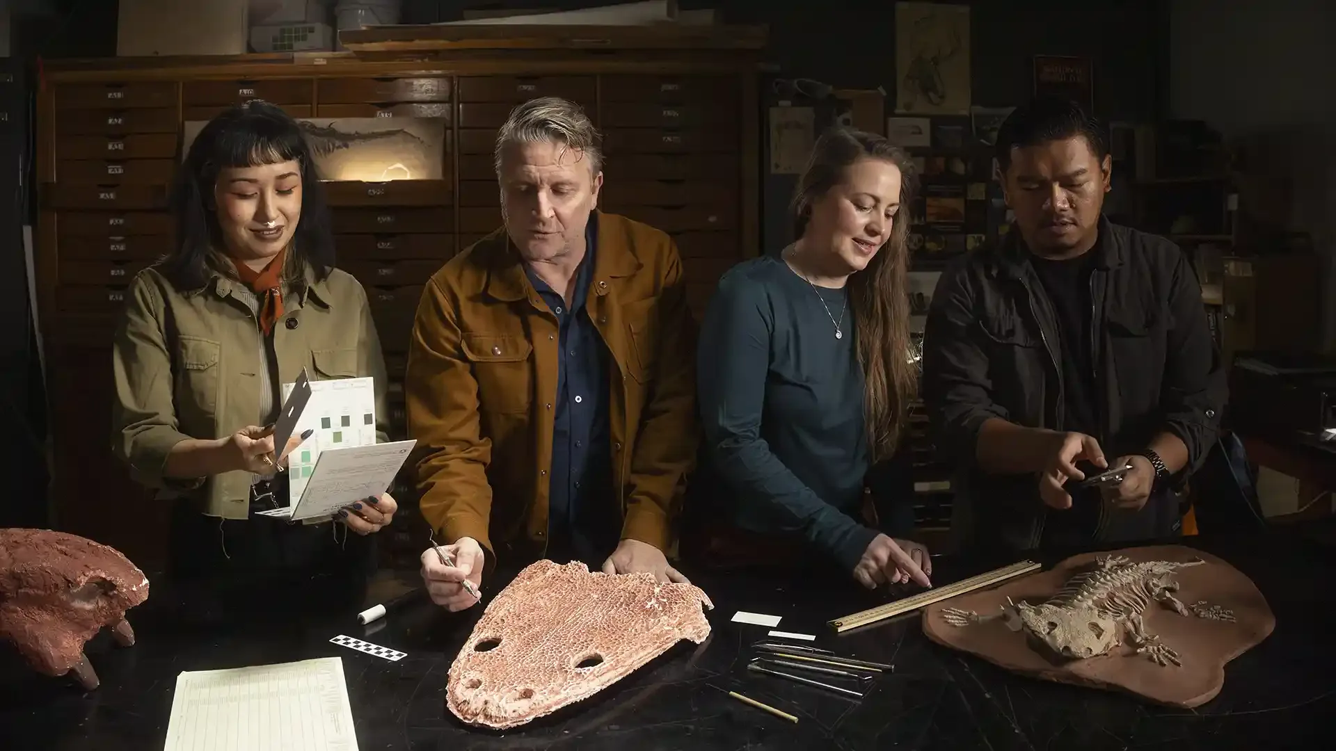 Ask a Paleontologist