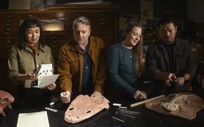 Ask a Paleontologist