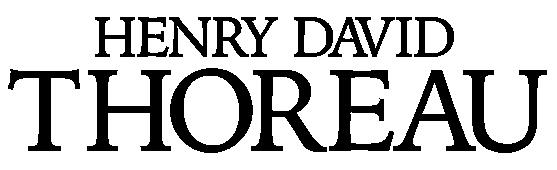 How To Conduct Your Own Walden Experiment: Four Lessons From Henry David Thoreau