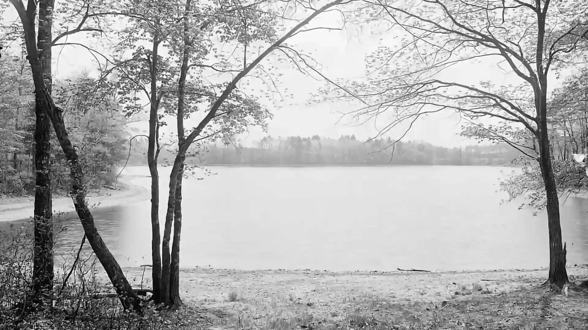 How To Conduct Your Own Walden Experiment: Four Lessons From Henry David Thoreau