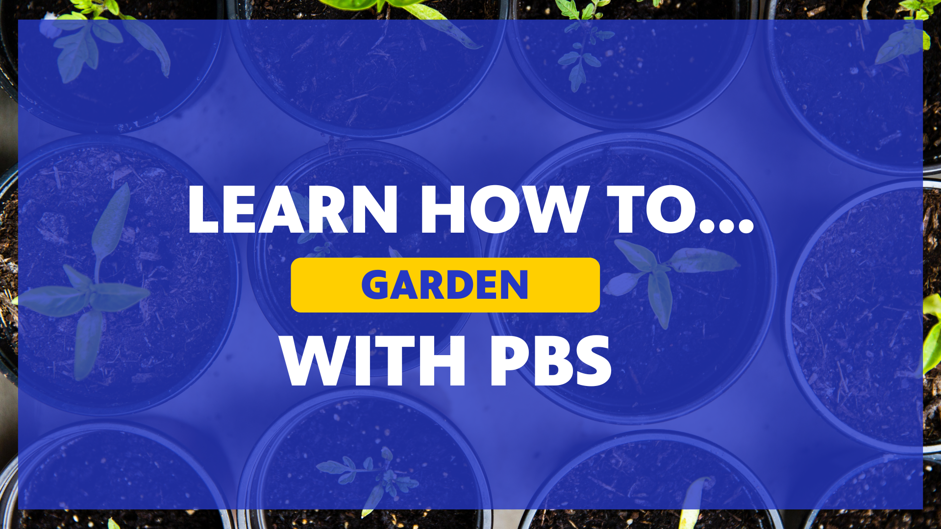 Learn How to Garden with PBS