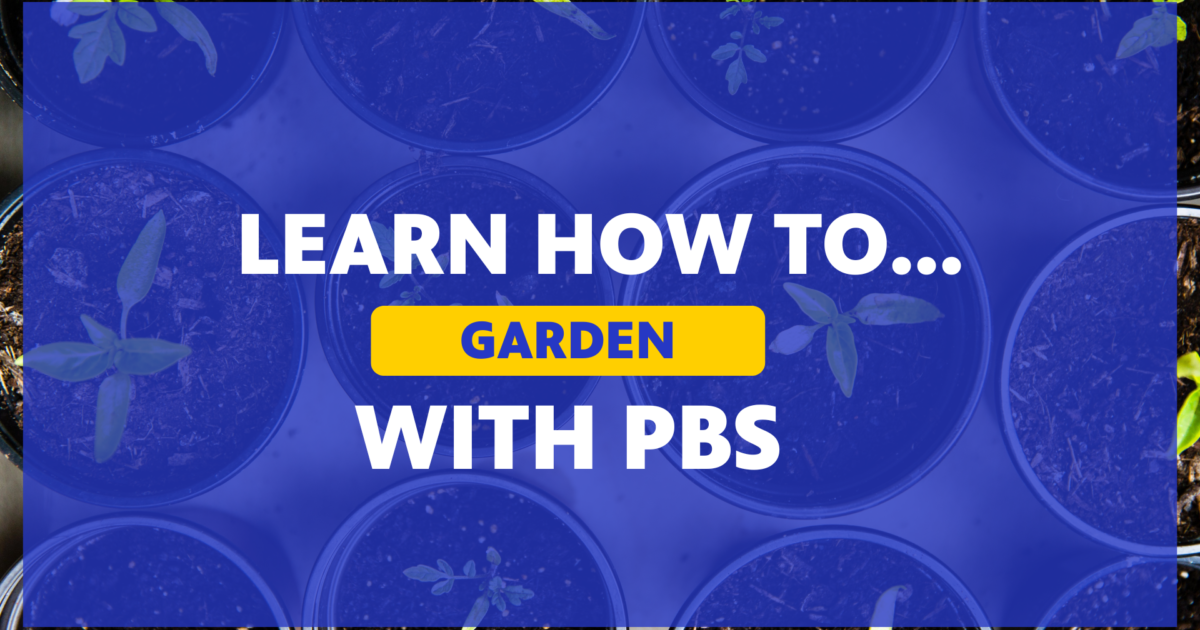 Learn How To Garden With PBS | PBS