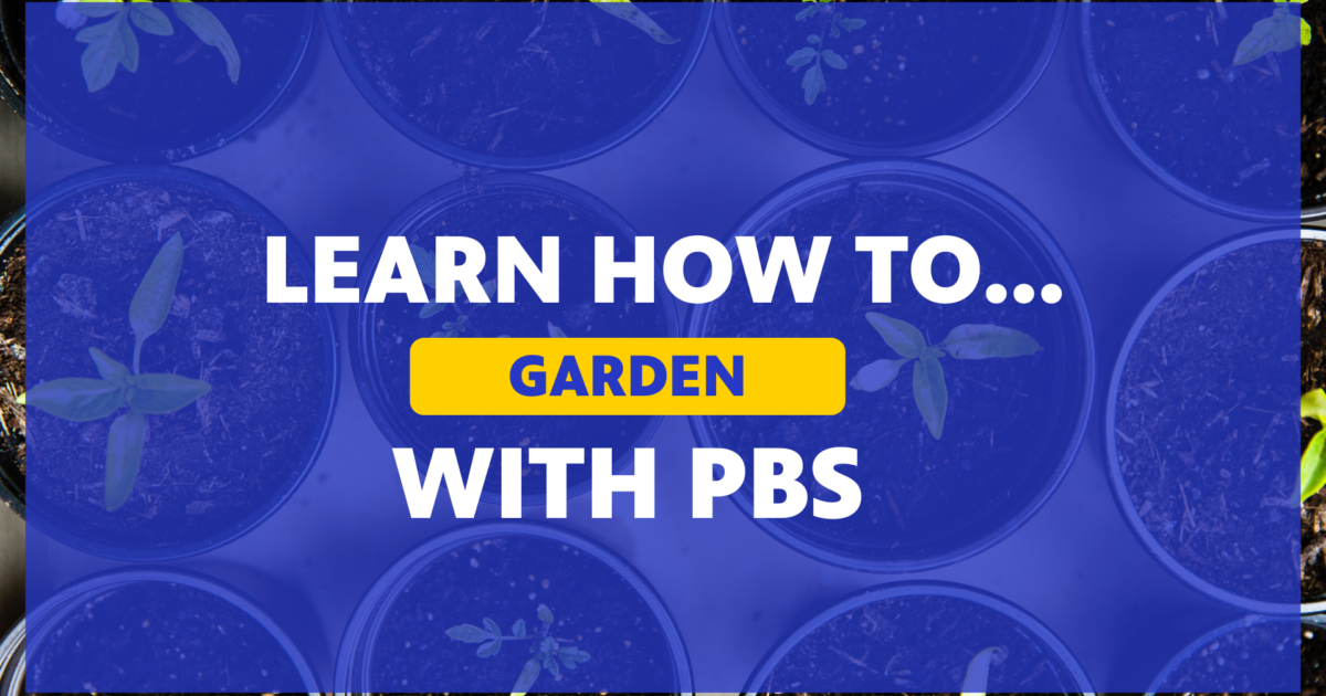Learn How to Garden with PBS PBS
