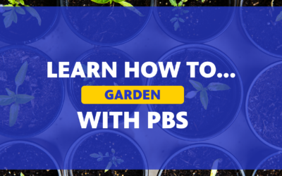 Learn How to Garden with PBS