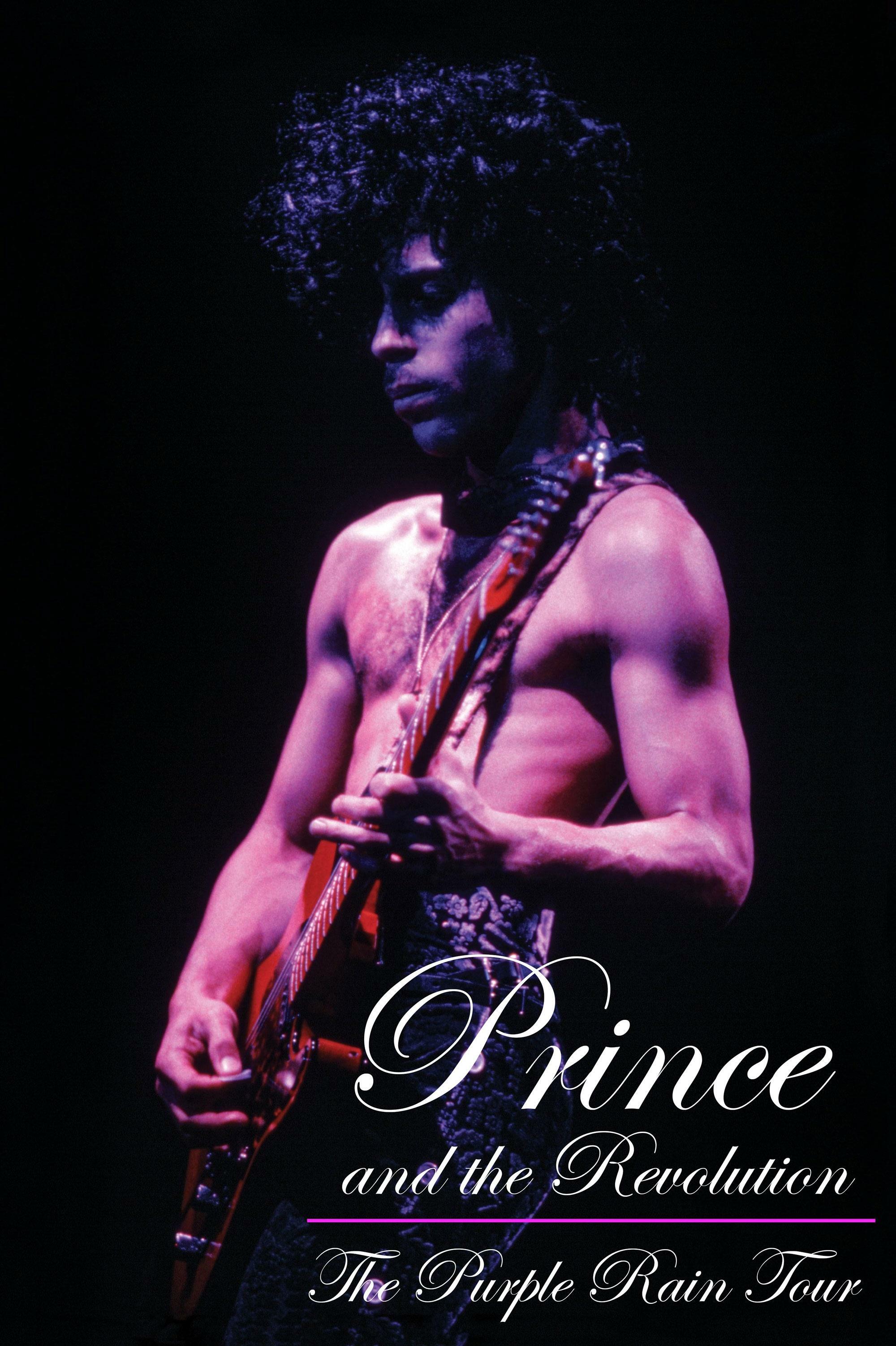 Prince and the Revolution Purple Rain Tour show poster