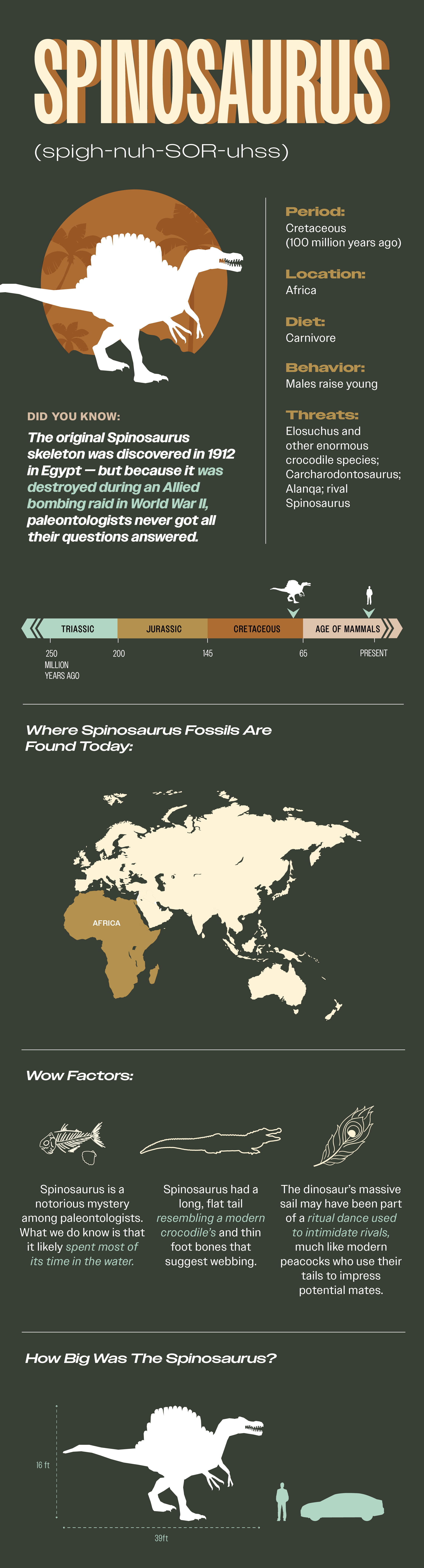 Spinosaurus Fact Sheet 1