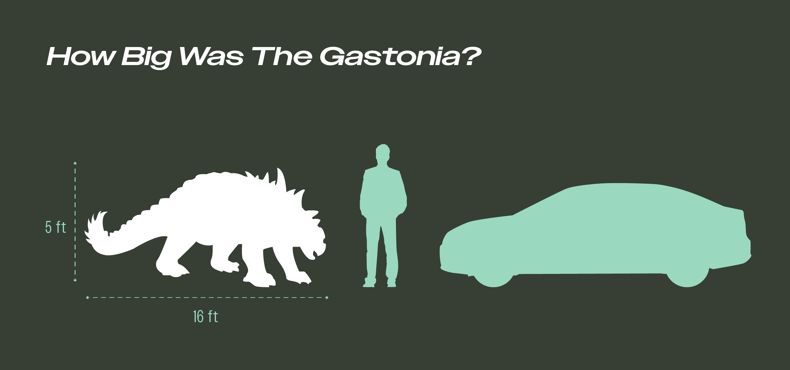 Infographic showing the size of a Gastonia compared to an average human and a car