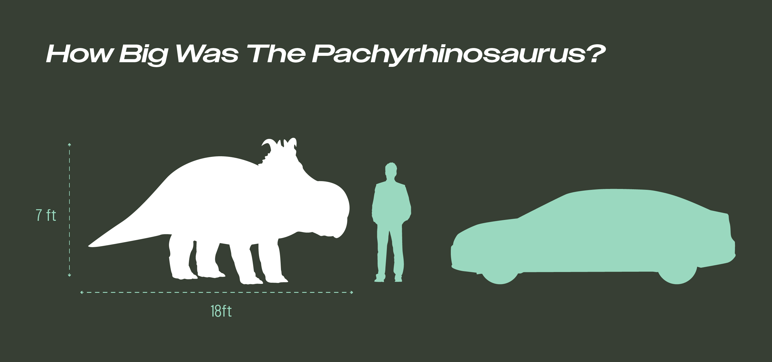 Infographic comparing the size of a Pachyrhinosaurus to a car and a human