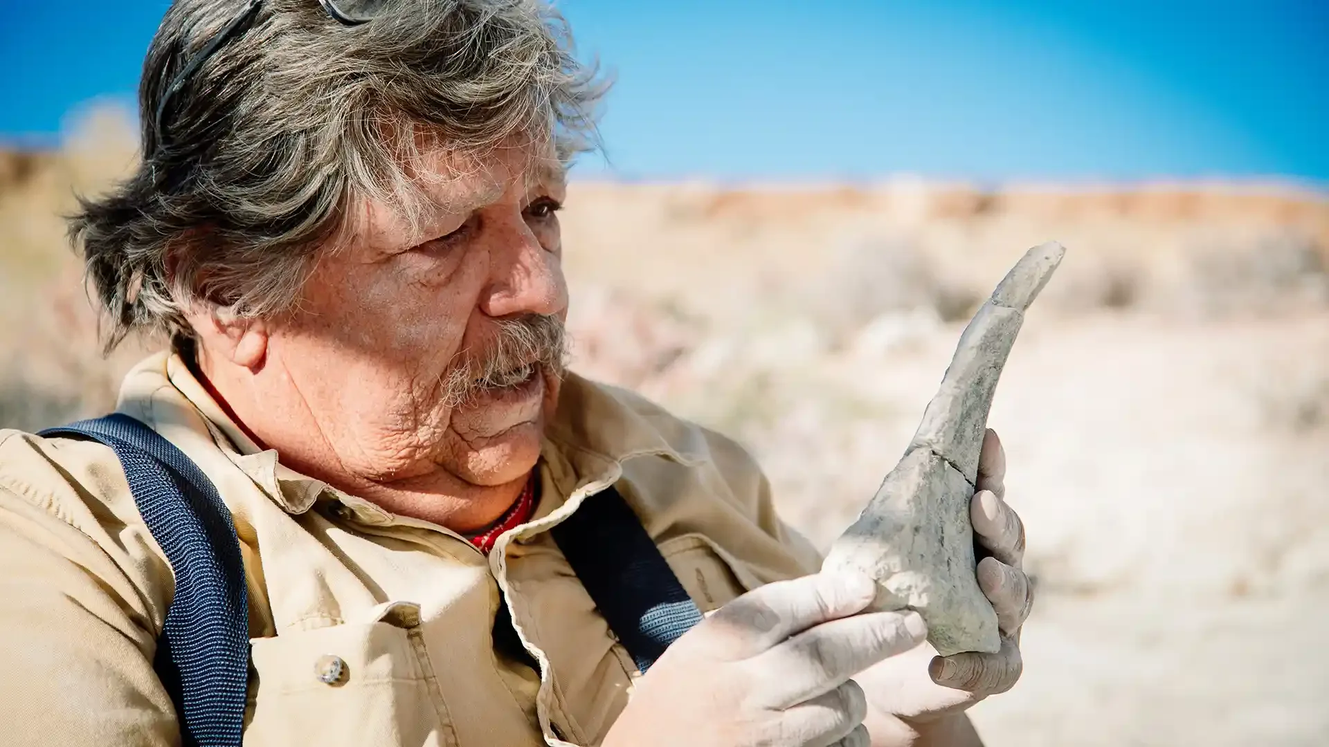 What Can We Learn From Dinosaur Bones?