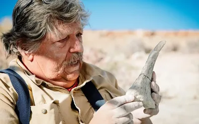 What Can We Learn From Dinosaur Bones?