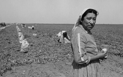 Women of the Farmworkers' Movement