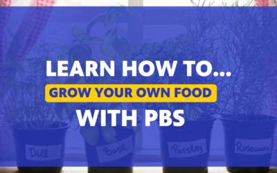 Learn How Grow Your Own Food with PBS