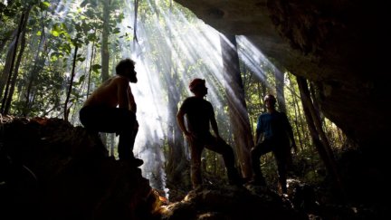 Remaining Calm During a Cave Dive