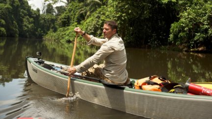 The Wildlife of Suriname