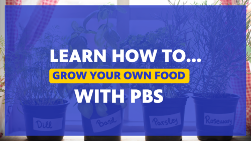 Learn How Grow Your Own Food with PBS