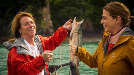 Alaska - Wild Harvest