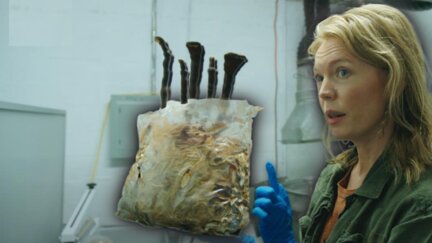 Can Fungi Solve California's Toxic Soil Problem