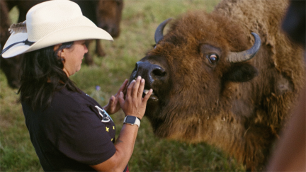 How Reviving Buffalo Could Revive a Way of Life