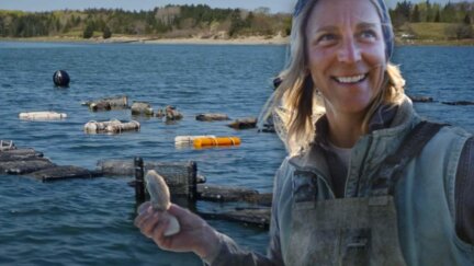 How This Oyster Farmer is Reinventing Aquaculture