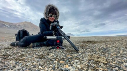 Life Unearthed with Ariel Waldman | Preview