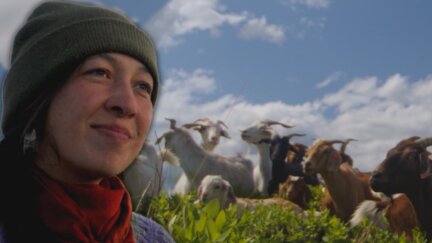 The Key to Restoring the Prairies Has Four Legs