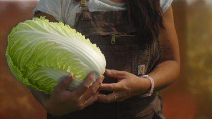 The Vegetables 99% of American Farms Refuse to Grow