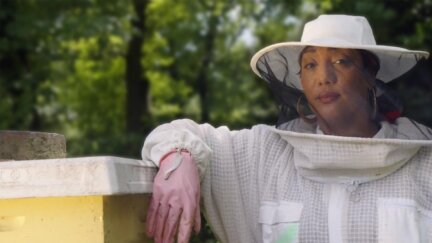 Why Bees Are Swarming Our Cities